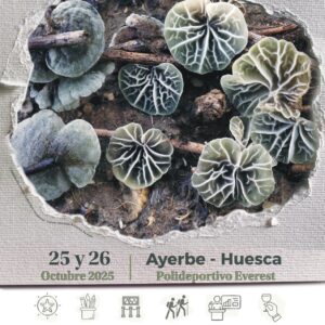 jornadas micológicas Ayerbe