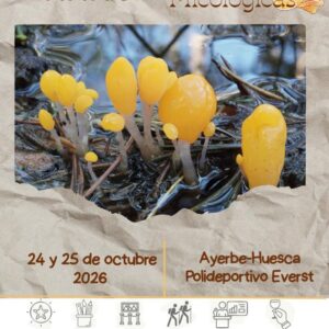 Cartel Jornadas Micológicas Ayerbe