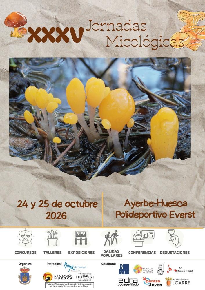 Cartel Jornadas Micológicas Ayerbe